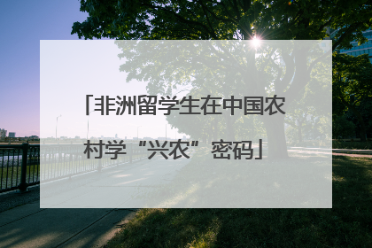 非洲留学生在中国农村学“兴农”密码