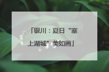 银川：夏日“塞上湖城”美如画