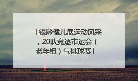 银龄健儿展运动风采，20队竞逐市运会（老年组）气排球赛