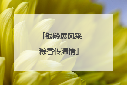 银龄展风采 粽香传温情