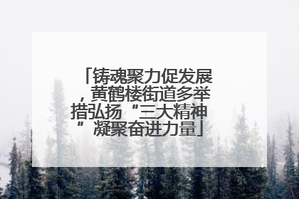 铸魂聚力促发展，黄鹤楼街道多举措弘扬“三大精神”凝聚奋进力量