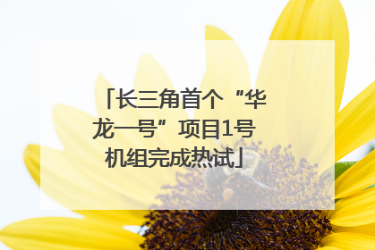长三角首个“华龙一号”项目1号机组完成热试
