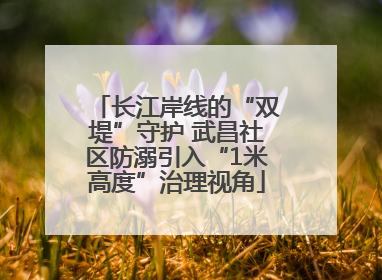 长江岸线的“双堤”守护 武昌社区防溺引入“1米高度”治理视角
