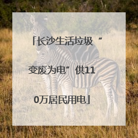 长沙生活垃圾“变废为电”供110万居民用电