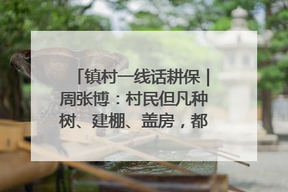 镇村一线话耕保｜周张博：村民但凡种树、建棚、盖房，都要向街道报批