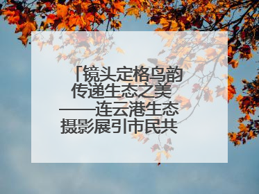 镜头定格鸟韵 传递生态之美——连云港生态摄影展引市民共赏自然之魅