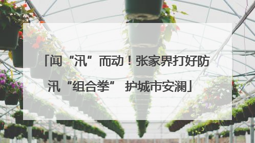 闻“汛”而动！张家界打好防汛“组合拳” 护城市安澜