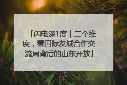 闪电深1度｜三个维度，看国际友城合作交流周背后的山东开放