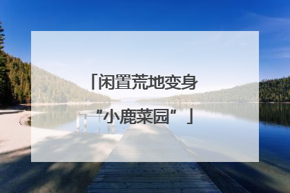 闲置荒地变身“小鹿菜园”