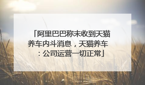 阿里巴巴称未收到天猫养车内斗消息，天猫养车：公司运营一切正常