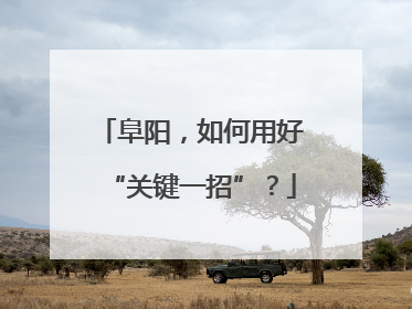 阜阳，如何用好“关键一招”？