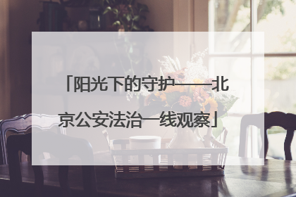 阳光下的守护——北京公安法治一线观察