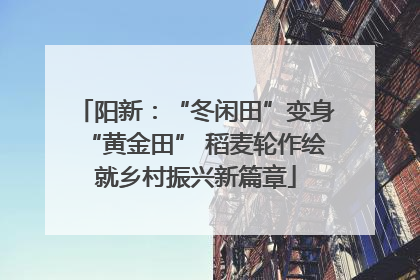 阳新：“冬闲田”变身“黄金田” 稻麦轮作绘就乡村振兴新篇章