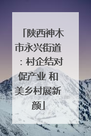 陕西神木市永兴街道：村企结对促产业 和美乡村展新颜