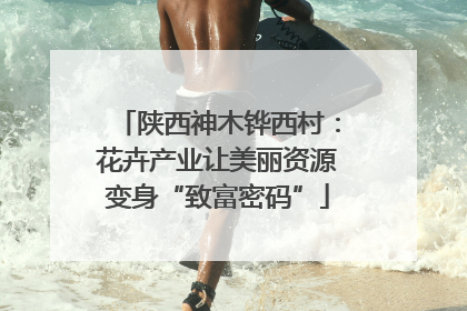 陕西神木铧西村：花卉产业让美丽资源变身“致富密码”