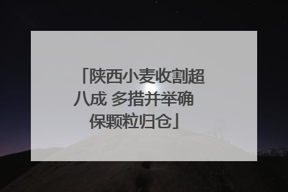 陕西小麦收割超八成 多措并举确保颗粒归仓