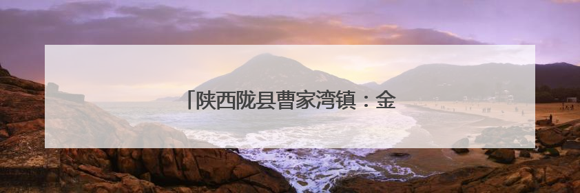 陕西陇县曹家湾镇：金色麦田里的“志愿红”