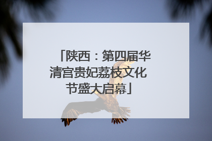 陕西：第四届华清宫贵妃荔枝文化节盛大启幕