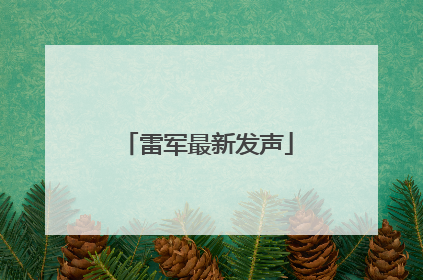雷军最新发声