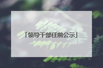 领导干部任前公示