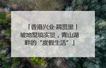 香港兴业·耦贤里丨坡地墅境实景，青山湖畔的“度假生活”