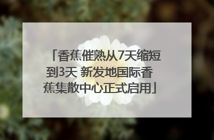 香蕉催熟从7天缩短到3天 新发地国际香蕉集散中心正式启用