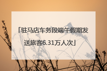 驻马店车务段端午假期发送旅客6.31万人次