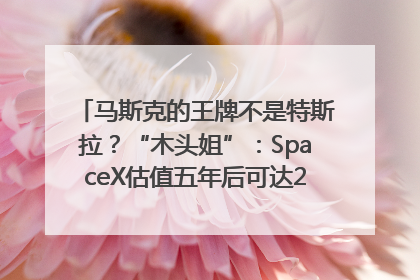马斯克的王牌不是特斯拉？“木头姐”：SpaceX估值五年后可达2.5万亿美元！