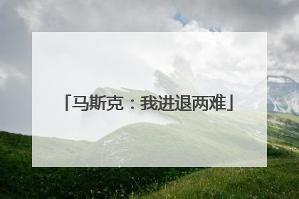 马斯克：我进退两难