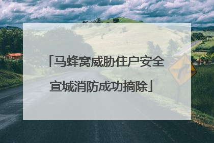 马蜂窝威胁住户安全 宣城消防成功摘除