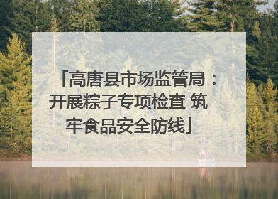 高唐县市场监管局：开展粽子专项检查 筑牢食品安全防线