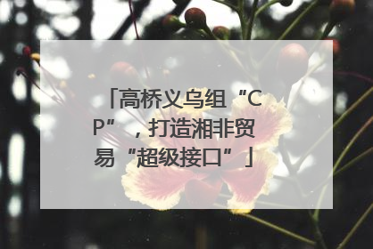 高桥义乌组“CP”，打造湘非贸易“超级接口”