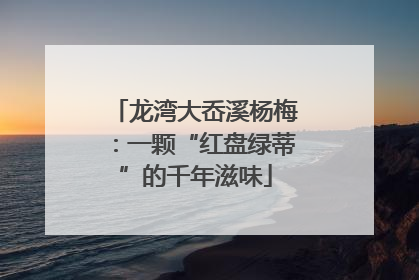 龙湾大岙溪杨梅：一颗“红盘绿蒂”的千年滋味