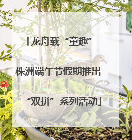 龙舟载“童趣” 株洲端午节假期推出“双拼”系列活动