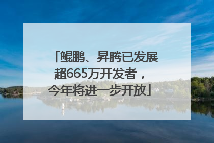 鲲鹏、昇腾已发展超665万开发者，今年将进一步开放