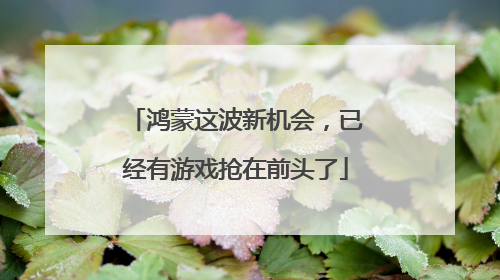 鸿蒙这波新机会，已经有游戏抢在前头了