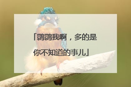 鹮鹮我啊，多的是你不知道的事儿