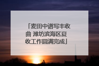 麦田中谱写丰收曲 潍坊滨海区夏收工作圆满完成