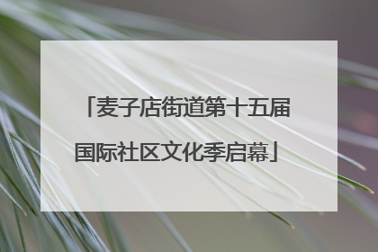麦子店街道第十五届国际社区文化季启幕