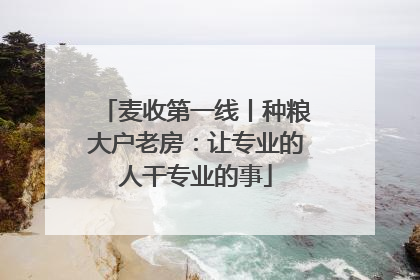 麦收第一线丨种粮大户老房：让专业的人干专业的事