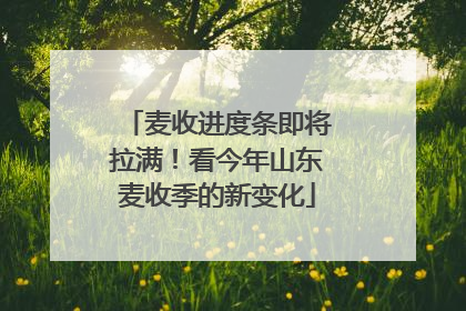 麦收进度条即将拉满！看今年山东麦收季的新变化