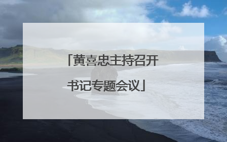 黄喜忠主持召开书记专题会议