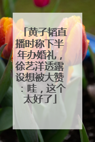 黄子韬直播时称下半年办婚礼，徐艺洋透露设想被大赞：哇，这个太好了
