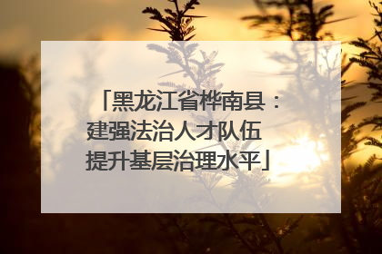 黑龙江省桦南县：建强法治人才队伍 提升基层治理水平