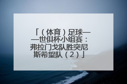 （体育）足球——世俱杯小组赛：弗拉门戈队胜突尼斯希望队（2）