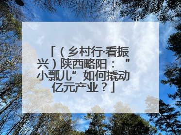 （乡村行·看振兴）陕西略阳：“小瓢儿”如何撬动亿元产业？