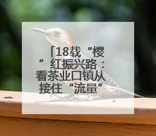 18载“樱”红振兴路：看茶业口镇从接住“流量”到深耕“留量”