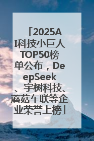 2025AI科技小巨人TOP50榜单公布，DeepSeek、宇树科技、蘑菇车联等企业荣誉上榜