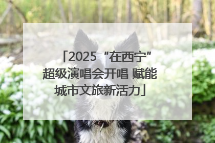 2025“在西宁”超级演唱会开唱 赋能城市文旅新活力