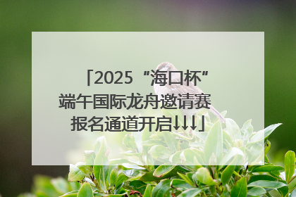 2025“海口杯”端午国际龙舟邀请赛 报名通道开启↓↓↓